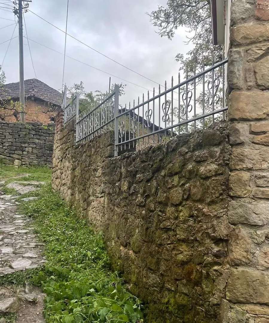 Bitro House Villa Pogradec Holiday home