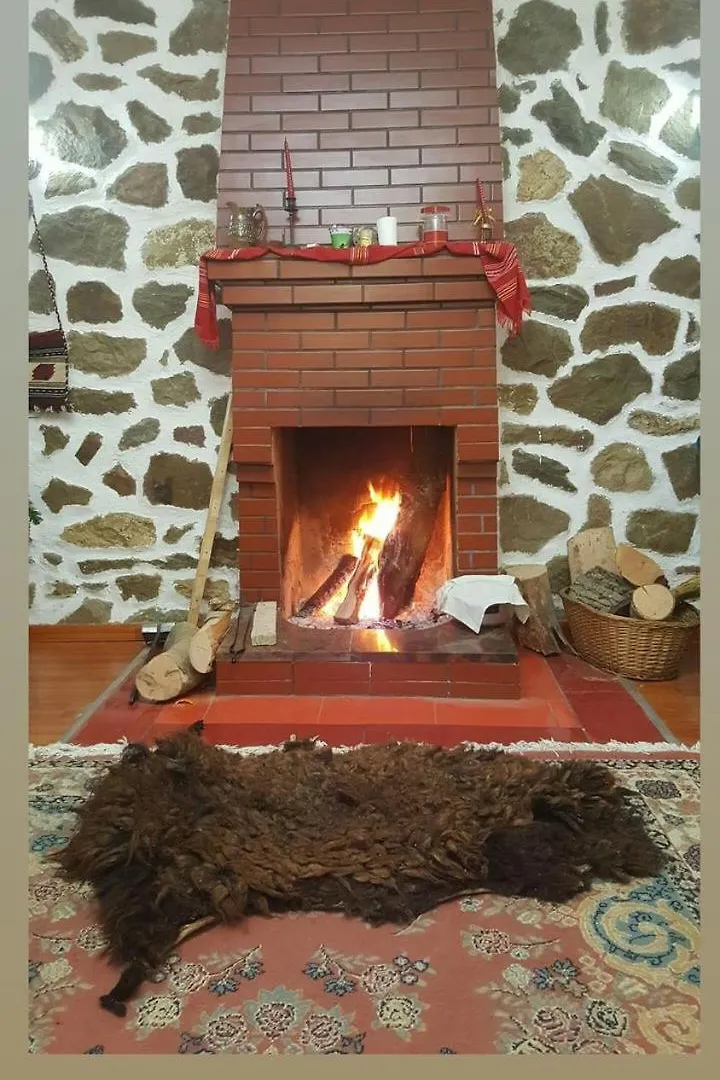Bitro House Villa Pogradec Holiday home